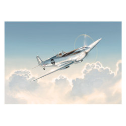 RH212 - La tête dans les...