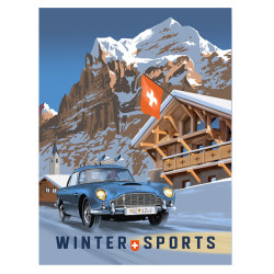 Winter sports