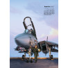 CALENDRIER TOMCAT 2025