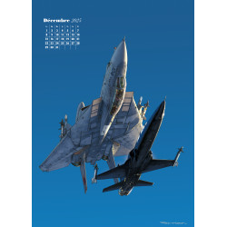 CALENDRIER - ROMAIN HUGAULT TOMCAT 2025