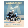 Motorcycle spirit  Flat-Twin 500 cc