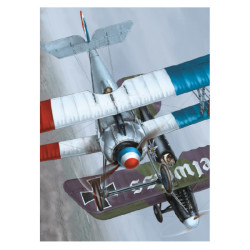RH189 - Edelweiss
