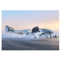 RH307 - jet d'affaires