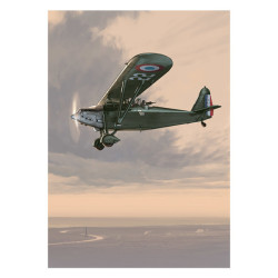 RH002 - Morane-Saulnier MS.230