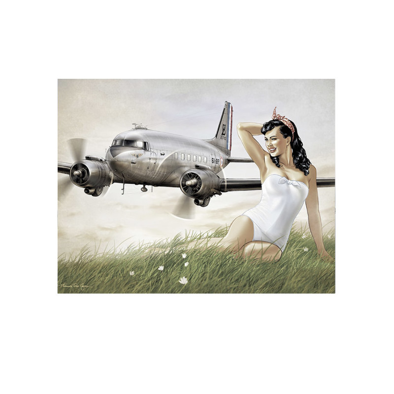 TDC006 - DC3 -Stella
