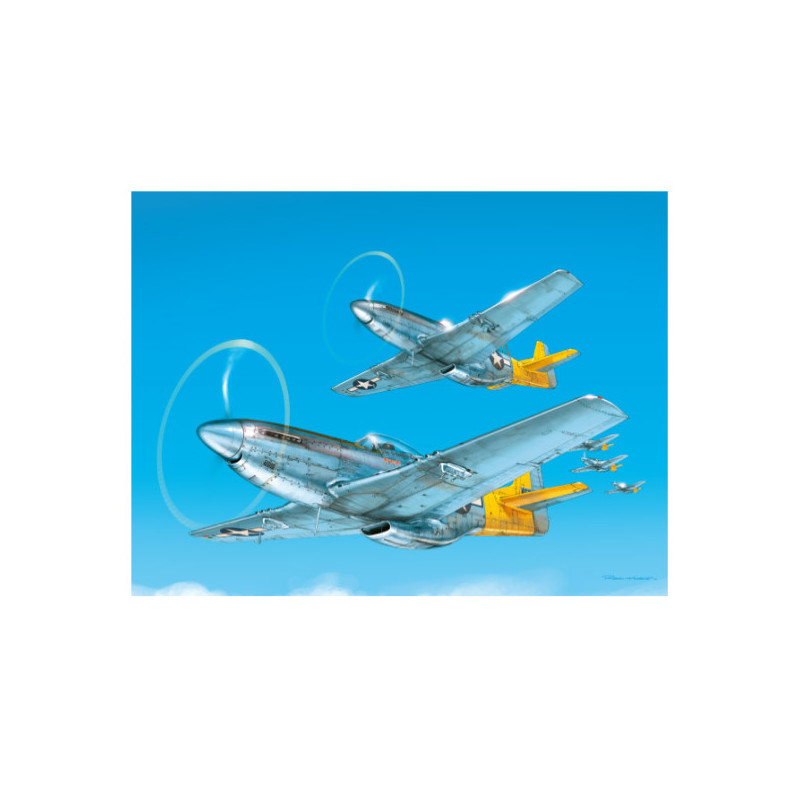 RH330 - North American P-51 Mustang