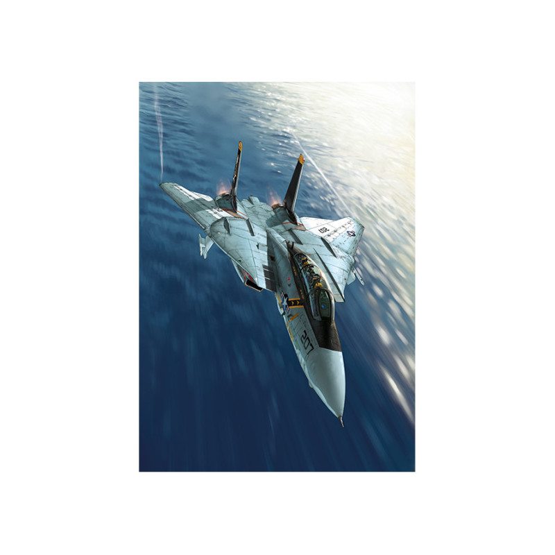 RH236 - Tomcat Collector