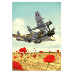 RH094 - Spitfire XIV