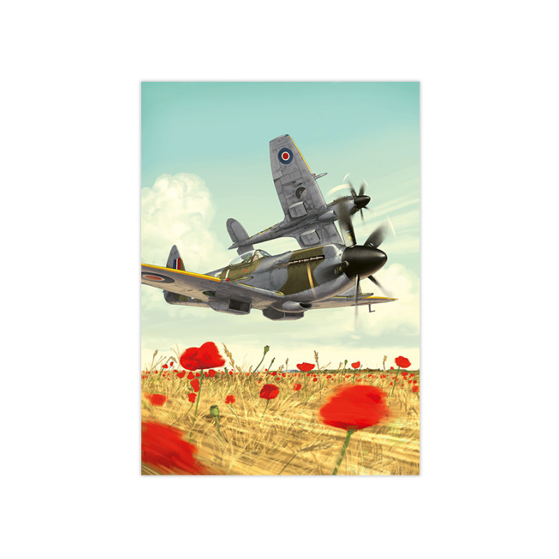 RH094 - Spitfire XIV